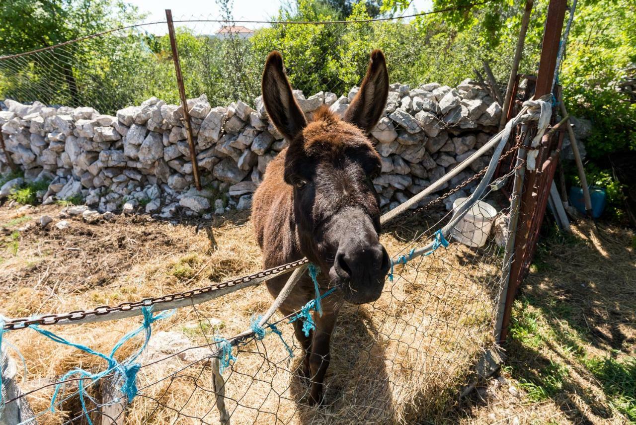 Authentic Camping Dalmatia Pirovac Esterno foto