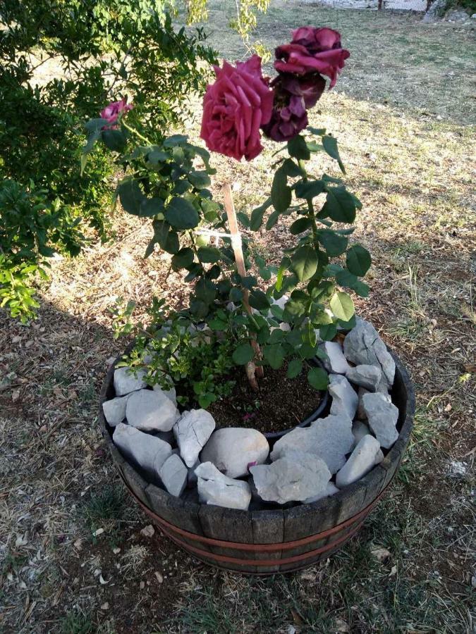 Authentic Camping Dalmatia Pirovac Esterno foto